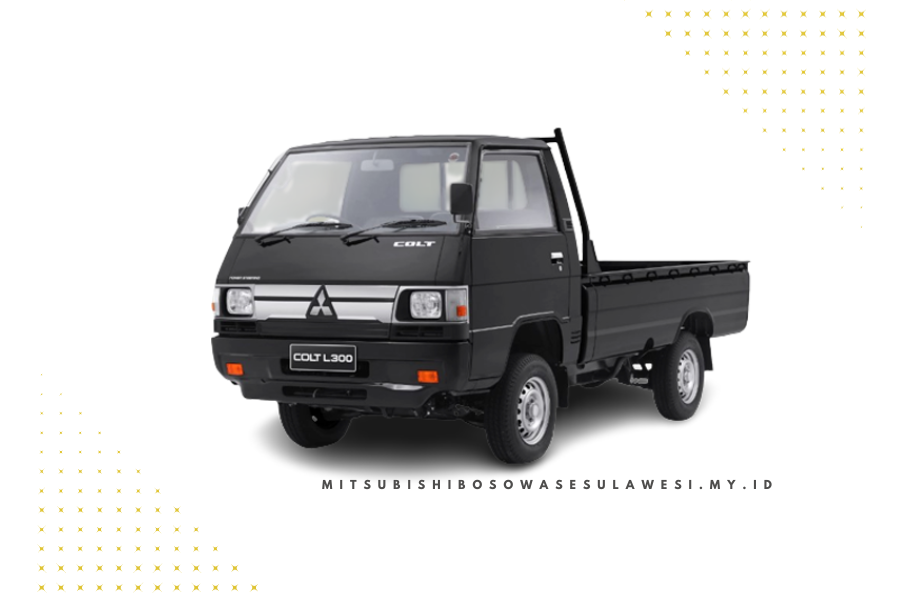 L300